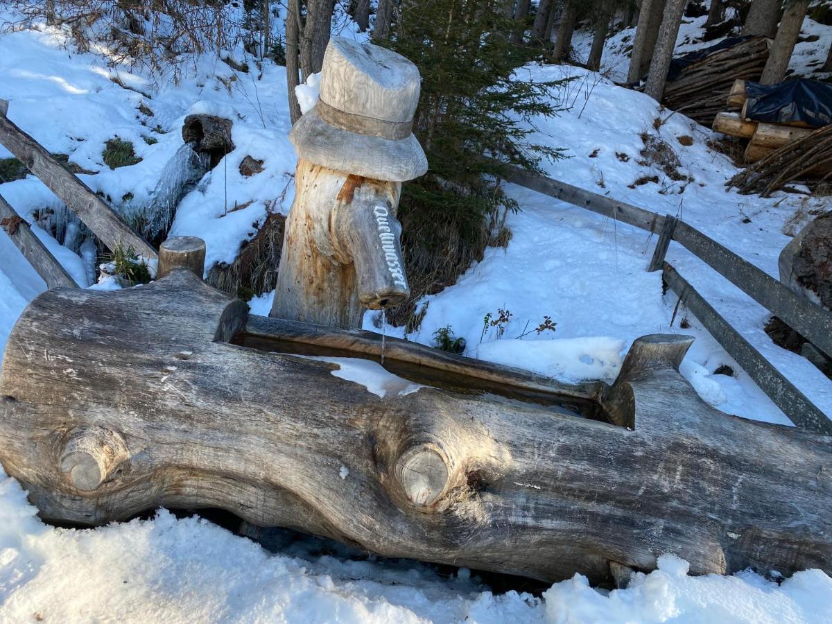 Ferienwohnung 4 Personen Alleinlage Am Wald Naehe Skigebiet Hochzeiger Jerzens Esterno foto