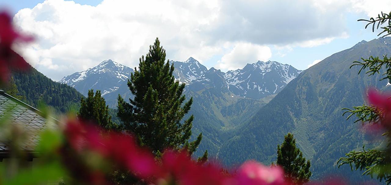 Ferienwohnung 4 Personen Alleinlage Am Wald Naehe Skigebiet Hochzeiger Jerzens Esterno foto